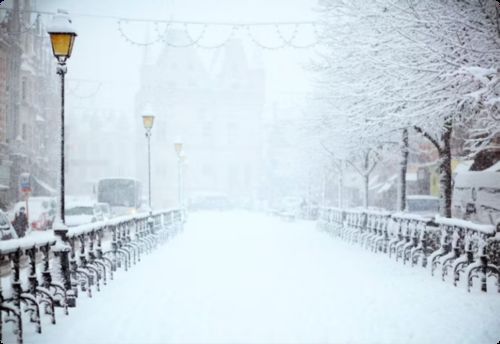 Latest company news about Inizia il tuo viaggio invernale: abbracciando Lidong